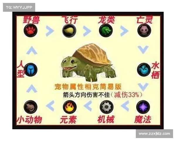 魔兽世界宠物战斗：技能栏开启指南